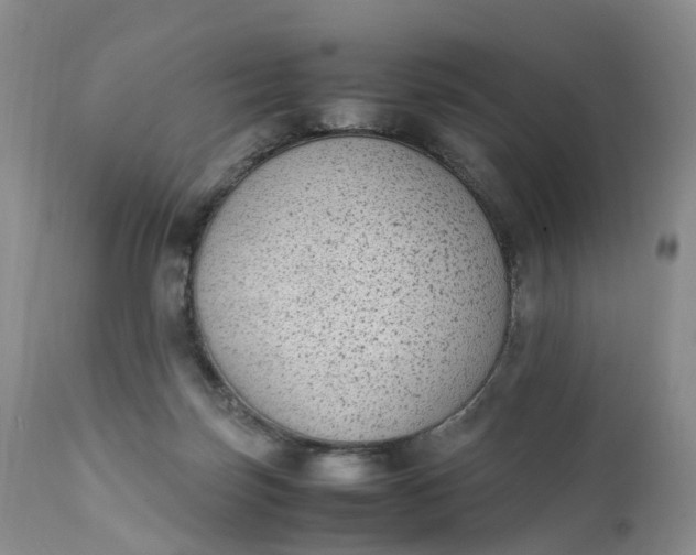 X0000111370171200907241254