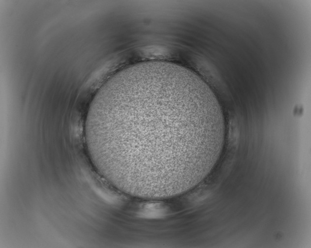 X0000111370173200907241254