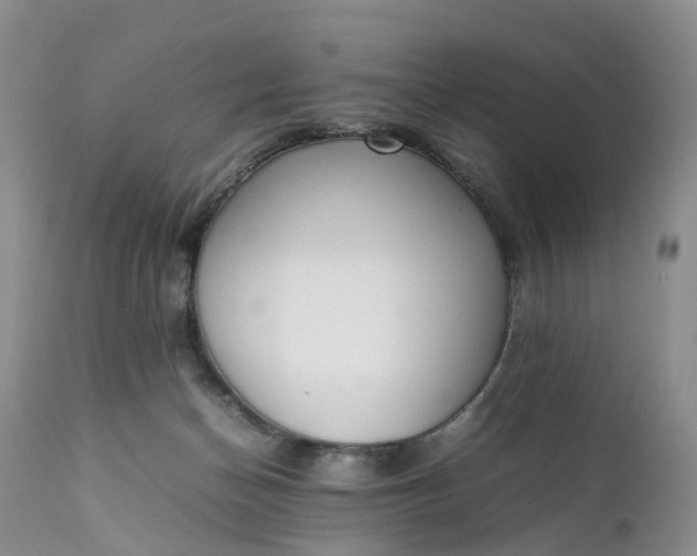 X0000111370174200907241254