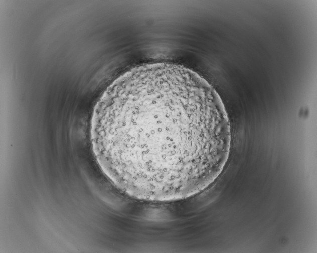 X0000111370175200907241254