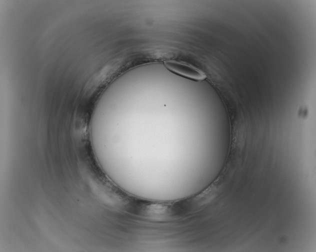 X0000111370176200907241254