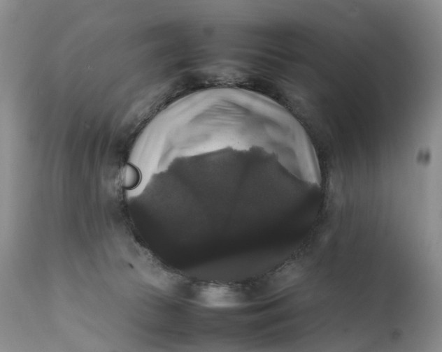 X0000111370177200907241254