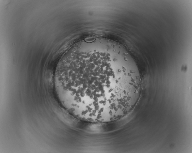 X0000111370178200907241254