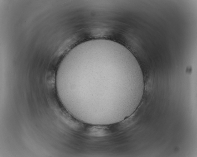 X0000111370179200907241254