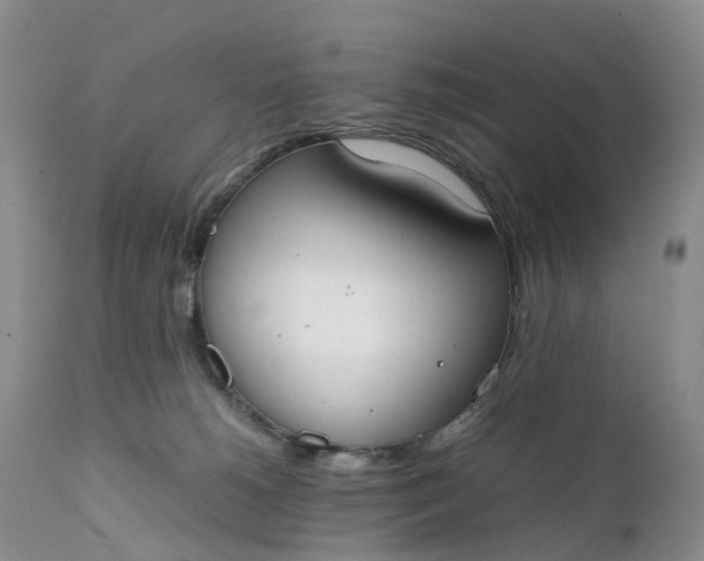 X0000111370180200907241254