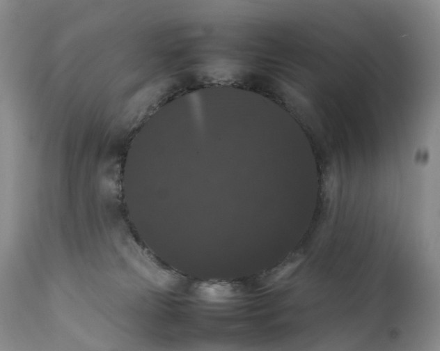 X0000111370181200907241254