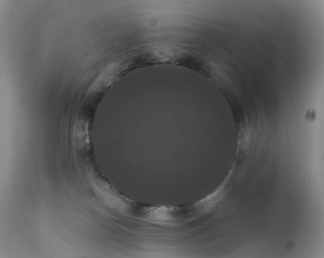 X0000111370182200907241254