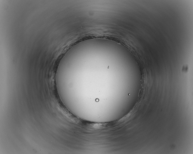 X0000111370184200907241255