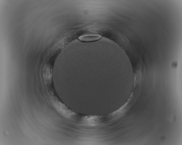 X0000111370186200907241255