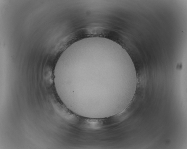 X0000111370187200907241255