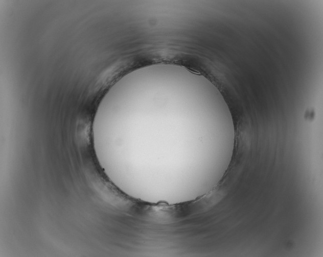 X0000111370188200907241255