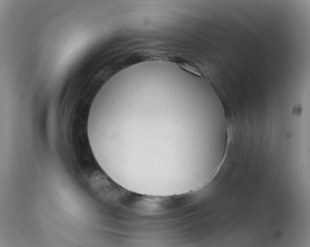 X0000111370190200907241255