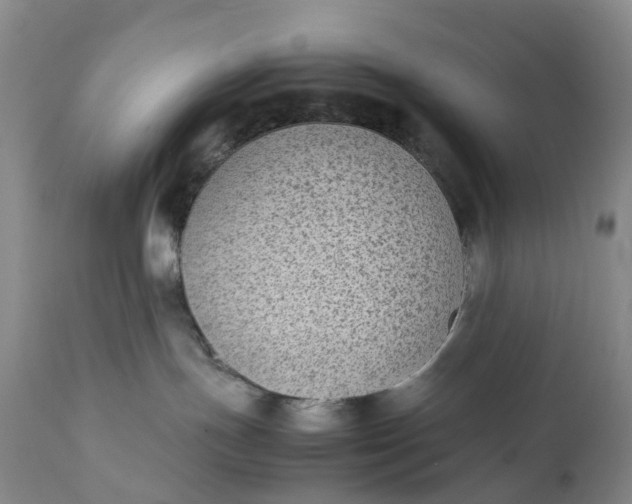 X0000111370191200907241255