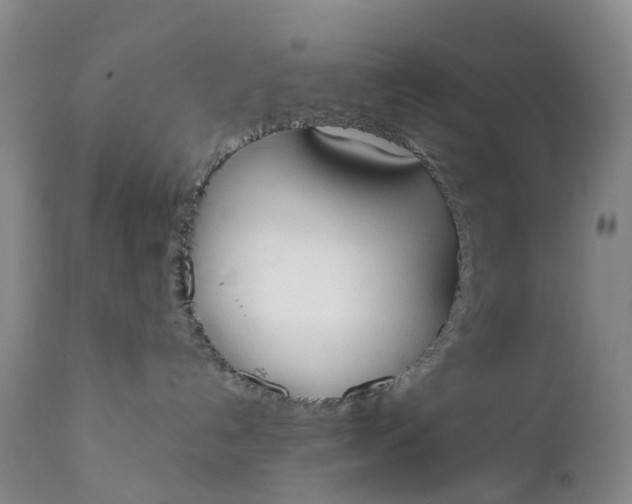 X0000111370192200907241255