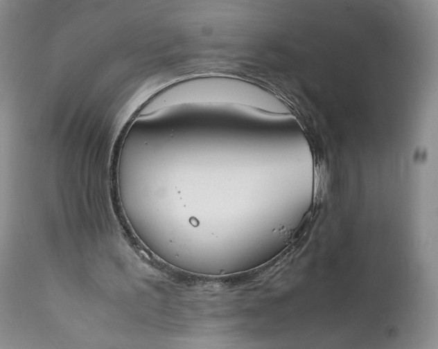 X0000111370195200907241254