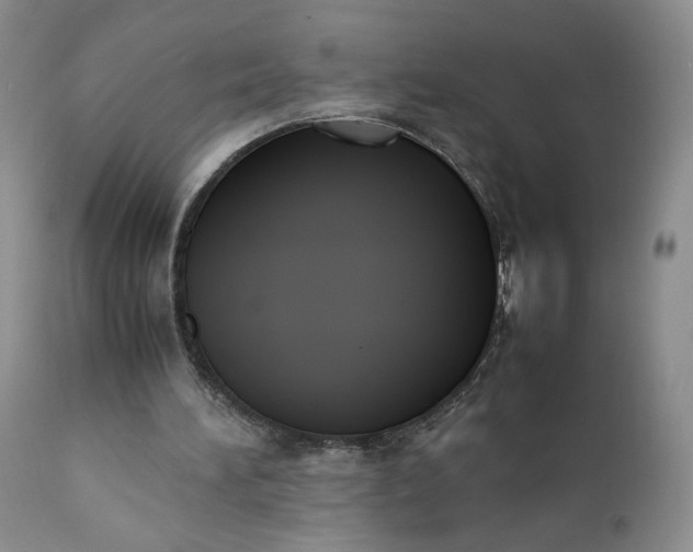 X0000111370196200907241254