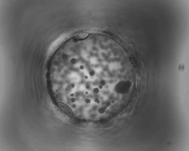 X0000111370197200907241254