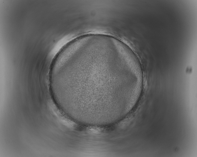 X0000111370199200907241254