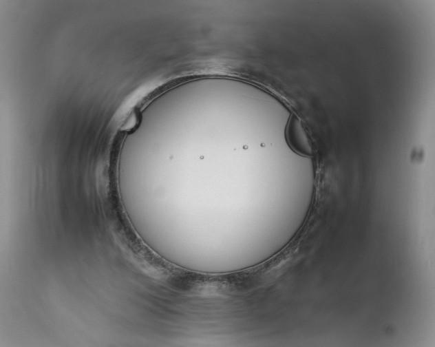 X0000111370200200907241254