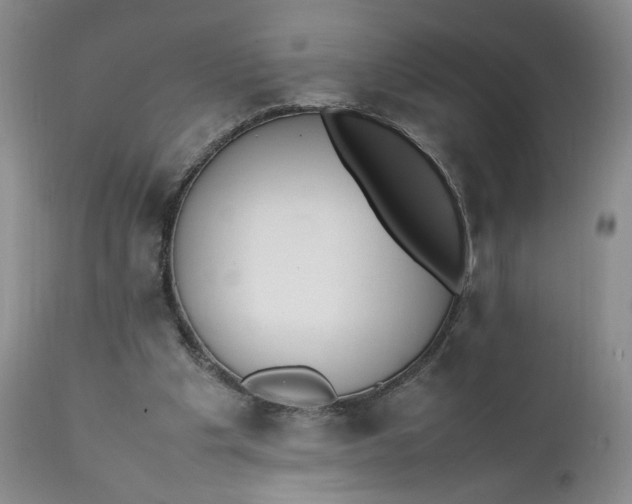 X0000111370201200907241254