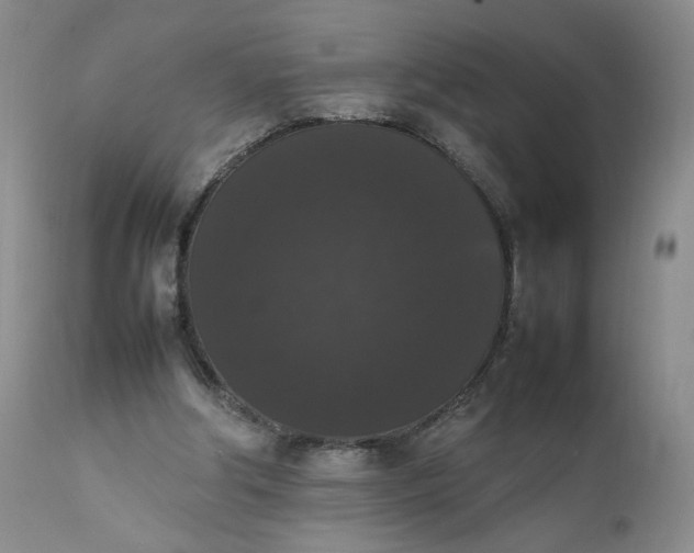 X0000111370202200907241254