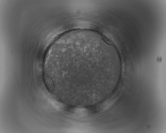 X0000111370203200907241254