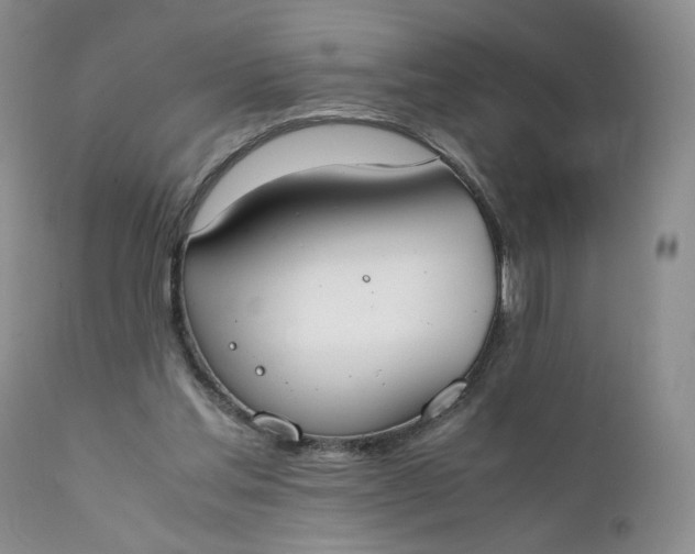 X0000111370205200907241254