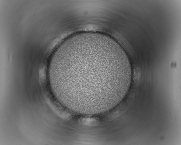 X0000111370208200907241254