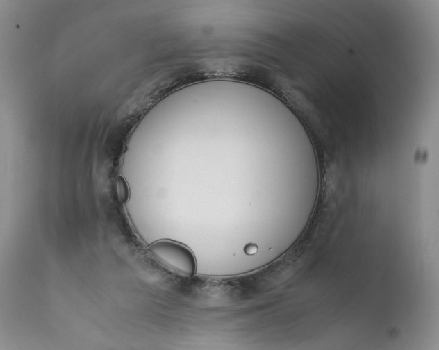 X0000111370209200907241254