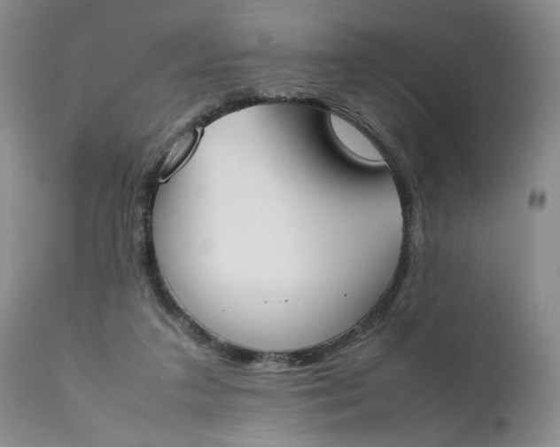 X0000111370211200907241254