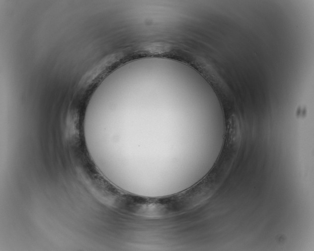 X0000111370212200907241254