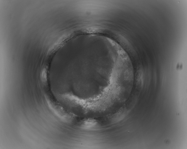 X0000111370214200907241254