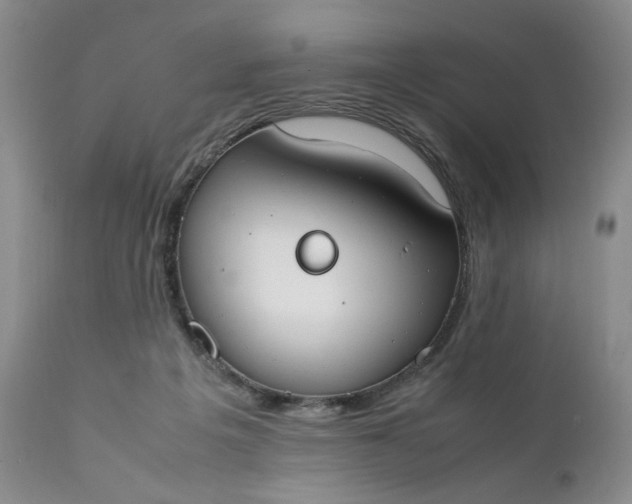 X0000111370217200907241254