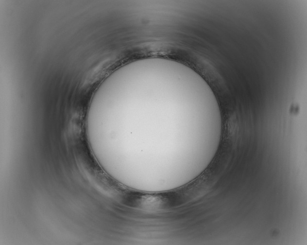 X0000111370218200907241254