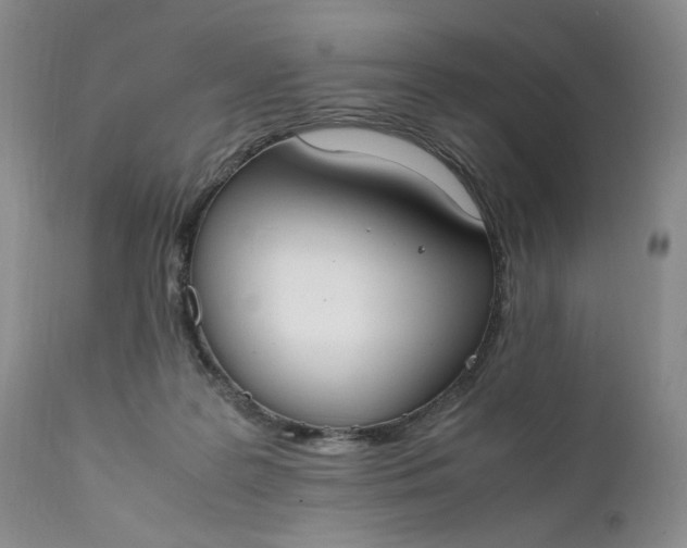 X0000111370219200907241254