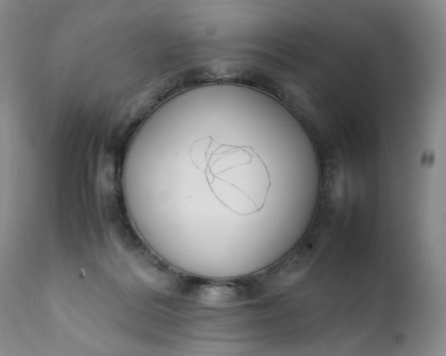 X0000111370220200907241254