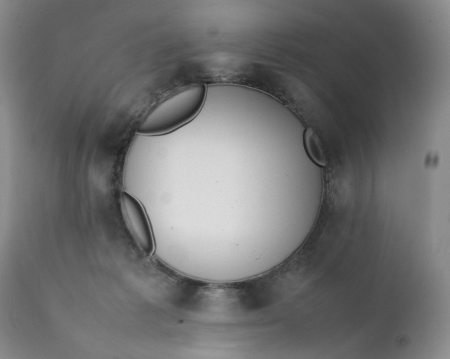 X0000111370221200907241254