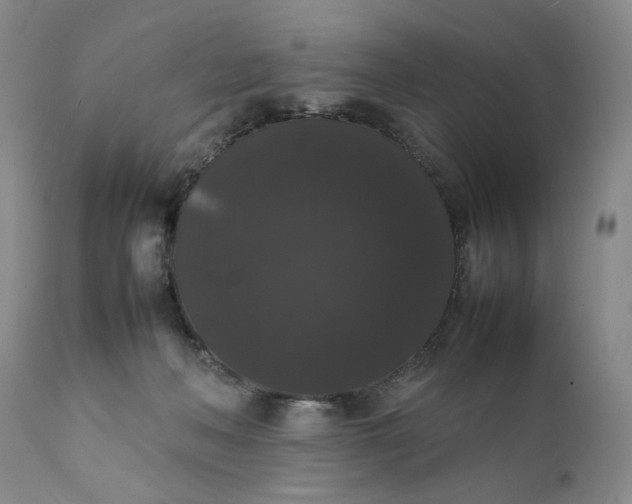 X0000111370222200907241254