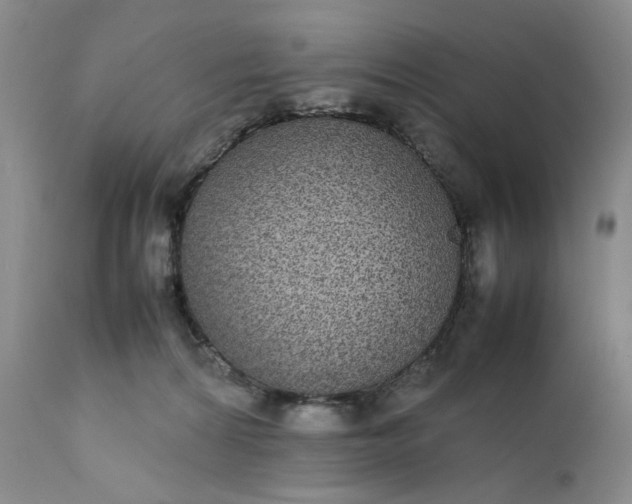 X0000111370224200907241254