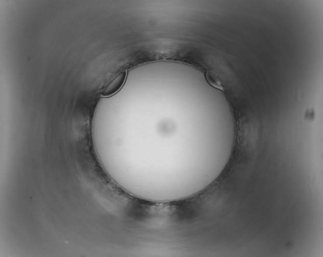 X0000111370225200907241254