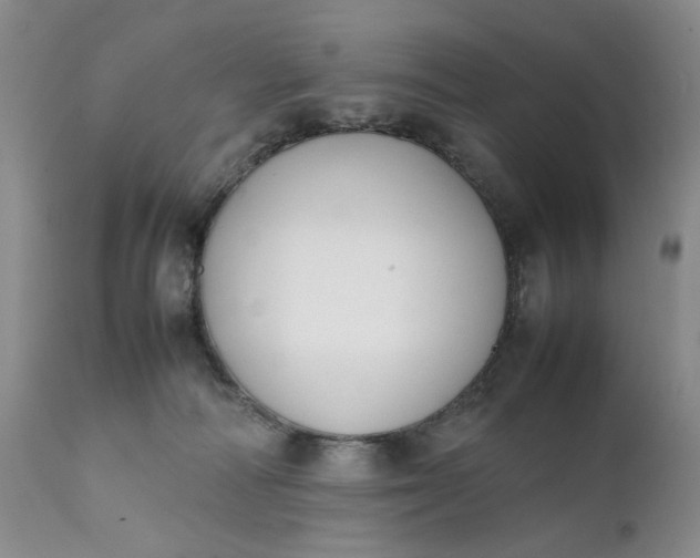 X0000111370226200907241253