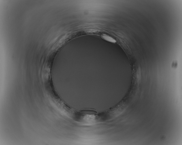 X0000111370227200907241253