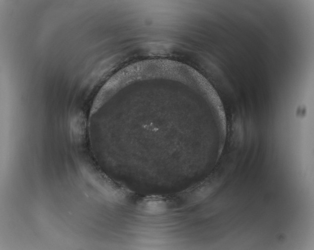 X0000111370228200907241253