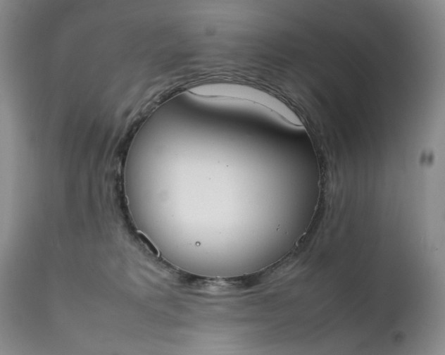 X0000111370229200907241253