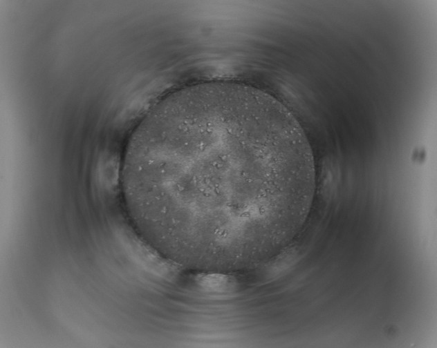 X0000111370230200907241253