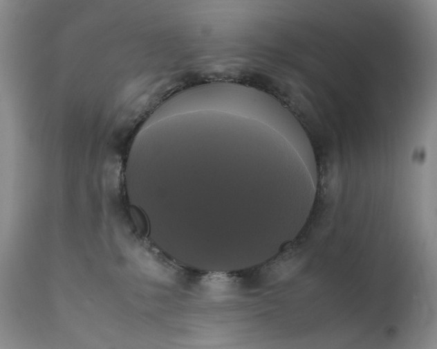 X0000111370231200907241253