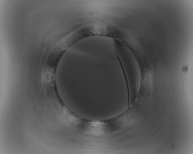 X0000111370233200907241253