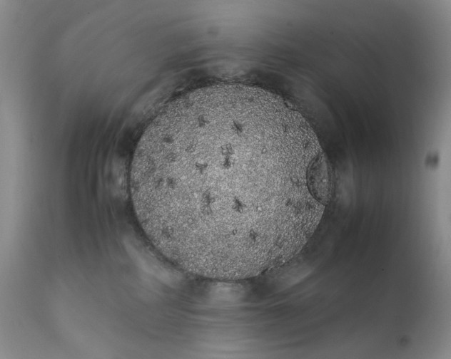 X0000111370234200907241253