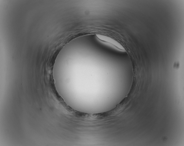 X0000111370235200907241253