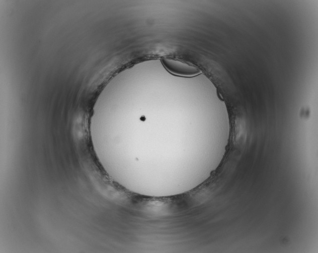 X0000111370236200907241253